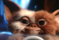Avatar von Gizmo